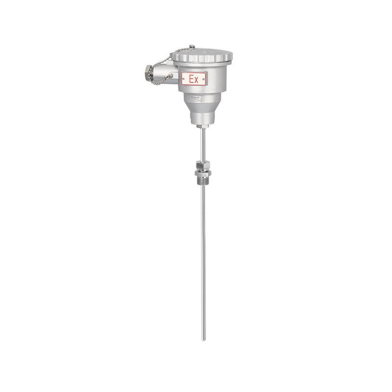 Armored flameproof movable thread mounted thermal resistance integrated temperature transmitter